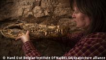 ATTENTION EDITORS - HAND OUT PICTURES - EDITORIAL USE WITH STORY ON EXCAVATION QUBBAT AL-HAWA ONLY - MANDATORY CREDIT UNIVERSITY OF JAEN/ BELGIAN INSTITUTE OF NATURAL SCIENCES Hand out pictures released on Thursday 19 January 2023, by the University of Jaen and Belgian Institute of Natural Sciences shows Belgian researcher Bea De Cupere studying ten crocodile mummies discovered in an undisturbed tomb in Qubbat al-Hawa, Egypt, by Spanish archeologists during excavations in 2019. Belga and Belga Editorial Board decline all responsibility regarding the content of this picture. BELGA PHOTO PATRICIA MORA RIUDAVETS HAND OUT BELGIAN INSTITUTE OF NATURAL SCIENCES