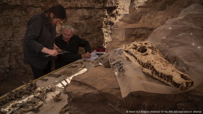 Investigadores trabajan en labores de excavación en la tumba de Qubbet el-Hawa, en 2019.