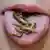 Mealworm larvae on a person's tongue