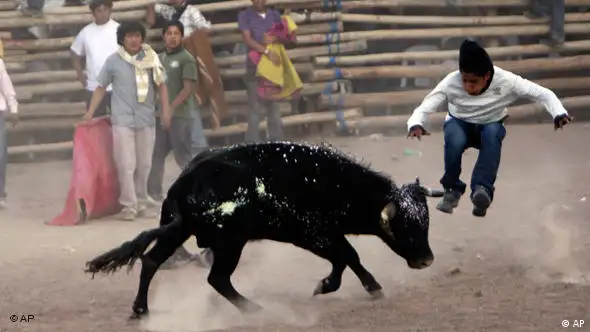 Flash-Galerie Amateur Stierkampf Ecuador