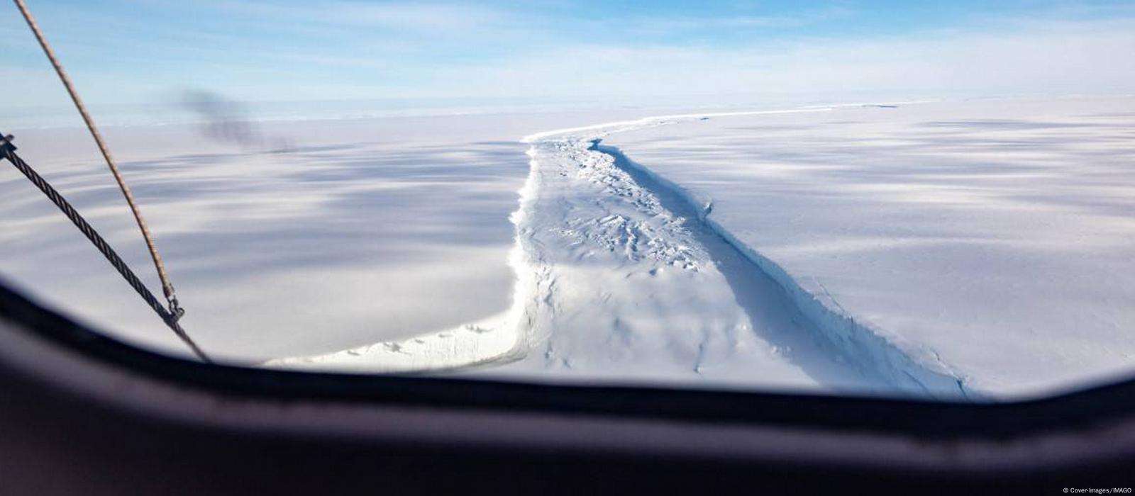 A la deriva: la morsa que se quedó dormida en un iceberg y ahora