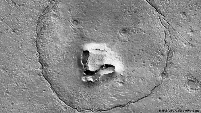 El oso descubierto por los astrónomos de la NASA en la superficie de Marte.