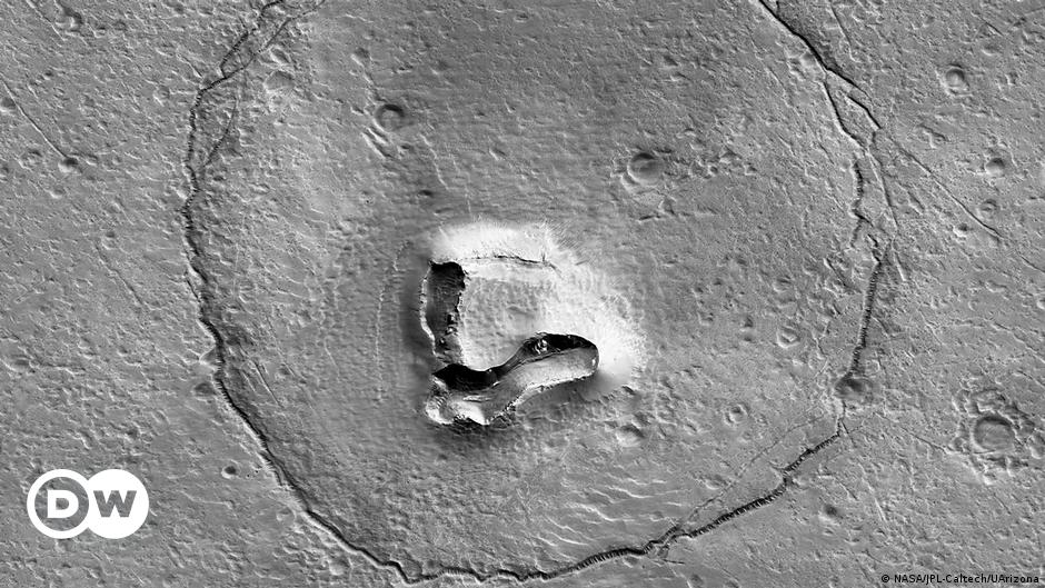 NASA astronomers have just discovered a ‘bear’ on Mars |  Science and Ecology |  Dr..