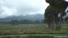 Doku YT Plan KW 05 Ruanda - Schatten über dem Paradies