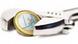 Zange mit Euromünze (Foto: Fotolia) Zange mit Euromünze (Foto: Fotolia)