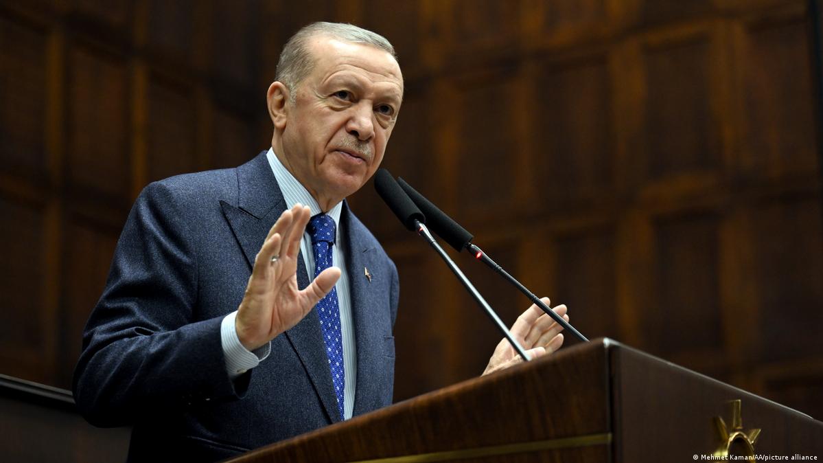 Turkey's Erdogan again rebukes Sweden over NATO bid DW 02/01/2023