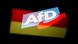 Podrška AfD-u i dalje raste Podrška AfD-u i dalje raste