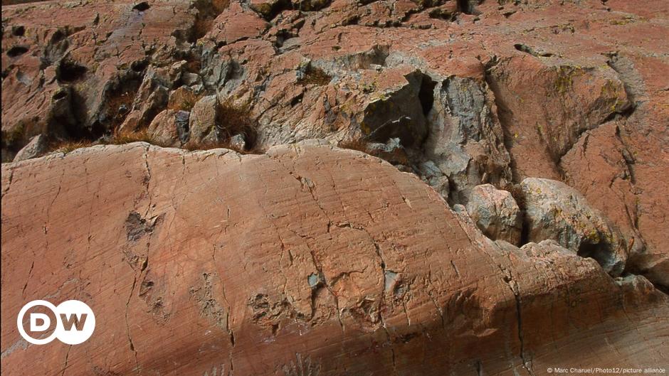 stone-age-rock-paintings-discovered-in-france-dw-02-02-2023