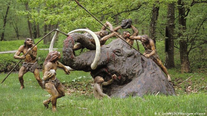 Grupo de neandertales cazan un mamut salvaje.