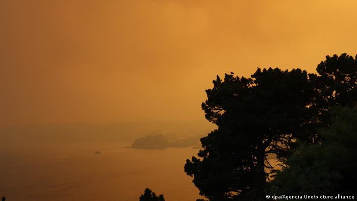 Una espeso humo envuelve el bosque y las zonas costeras cerca de los intensos incendios forestales que avanzan en el centro y sur de Chile.