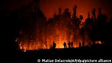 Freiwillige tragen Vorräte für die Feuerwehr in der Nähe brennender Bäume. In Süd- und Zentralchile breiten sich Waldbrände aus, die in einigen Regionen Evakuierungen und die Ausrufung des Notstands zur Folge haben. +++ dpa-Bildfunk +++