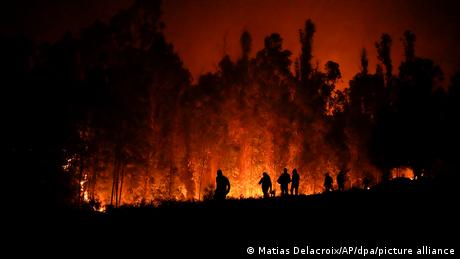 Chile Waldbrände
