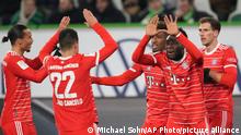 Bayern players celebrate after Kingsley Coman, third from right, scored his side's second goal during the German Bundesliga soccer match between VfL Wolfsburg and FC Bayern Munich in Wolfsburg, Germany, Sunday, Feb. 5, 2023. (AP Photo/Michael Sohn)