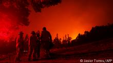 Incendios forestales azotan a Chile