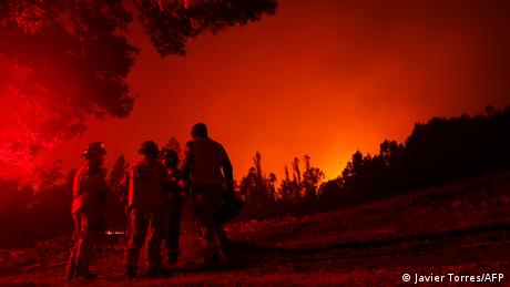 Chile Waldbrände Feuerwehr