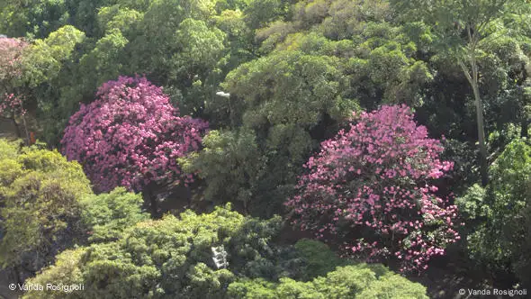 Der Blick aus meinem Fenster: Belo Horizonte, Brasilien