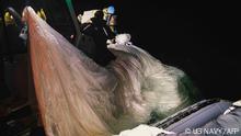 This picture provided by the US Navy shows sailors assigned to Explosive Ordnance Disposal Group 2 recover a high-altitude surveillance balloon off the coast of Myrtle Beach, South Carolina, in the Atlantic ocean on February 5, 2023. - US President Joe Biden on February 6, 2023 defended the decision to wait until a Chinese balloon crossed the United States before shooting it down, and the White House said valuable intelligence was being culled from the device. (Photo by Petty Officer 1st Class Tyler Th / US NAVY / AFP) / RESTRICTED TO EDITORIAL USE - MANDATORY CREDIT AFP PHOTO / US NAVY - NO MARKETING NO ADVERTISING CAMPAIGNS - DISTRIBUTED AS A SERVICE TO CLIENTS