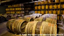 Hennessy Alterungslager, Eaux de vie lagert in Eichenfässern, um vor dem Mischen zu reifen, Cognac, Poitou-Charente, Frankreich, Europa