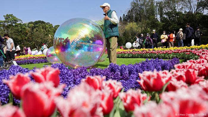 Un hombre posa en medio de los tulipanes que crecen, llenos de color, en un prado de la Residencia Oficial de Shilin, en Taipéi, la capital de Taiwán, donde en estas fechas se realiza el Festival del Tulipán. Cada año, cuando la primavera se acerca, este sitio turístico se llena de flores e instalaciones artísticas que son visitadas por miles de personas.