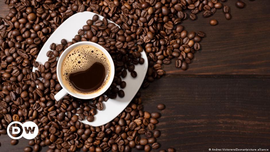 Apakah kopi membuat ketagihan?  – DW – 19/04/2024