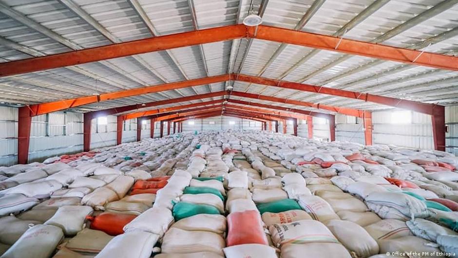 ኢትዮጵያ ስንዴ ወደ ውጭ መላክ መጀመሯ