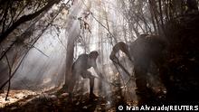 A local resident and a soldier work to extinguish a wildfire in Dichato area, Chile, February 12, 2023. REUTERS/Ivan Alvarado