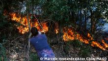 Chile, WaldbrÃ¤nde in Dichato Dichato, 12 de Febrero 2023. Vecinos y un grupo de militares controlan un sector de los incendios forestales en Dichato. Marcelo Hernandez/ Aton Chile., Dichato Chile Aton_681390 *** Dichato, February 12, 2023 Neighbors and a group of soldiers control a sector of the forest fires in Dichato Marcelo Hernandez Aton Chile , Dichato Chile Aton 681390 PUBLICATIONxINxGERxSUIxAUTxONLY Copyright: MARCELOxHERNANDEZ/ATONxCHILE