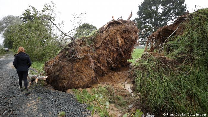 Neuseeland | Zyklon Gabrielle