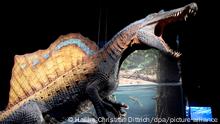 ¡Pregúntanos!¿Por qué eran tan grandes los dinosaurios?