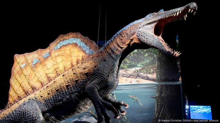 Pregúntanos!¿Por qué eran tan grandes los dinosaurios? | Visión futuro - El magacín científico | DW Pregúntanos!¿Por qué eran tan grandes los dinosaurios? | Visión futuro - El magacín científico | DW