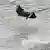 Hubschrauber schwebt über Wasser (Foto: AP)