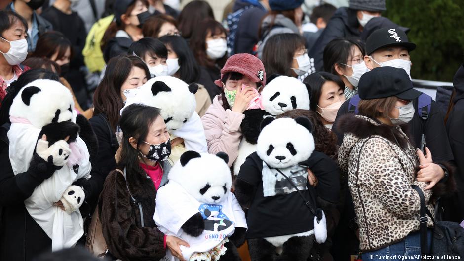 Japan bids farewell to giant panda sent to China – DW – 02/21/2023