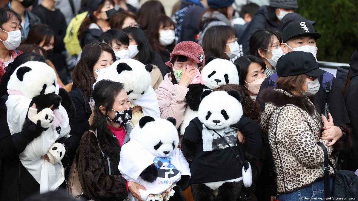 Japan bids farewell to giant panda sent to China – DW – 02/21/2023