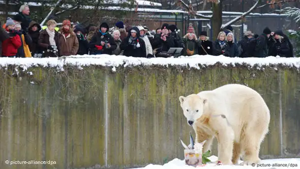 Zoo mourning loss of beloved polar bear just weeks before his 20th birthday