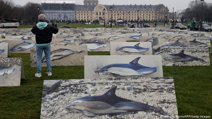 Protesta en Francia contra la muerte de delfines a causa de la pesca con redes.