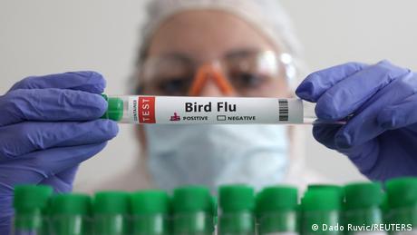 Vogelgrippe? Schweinegrippe? Ein Leitfaden zu H5N1-Viren