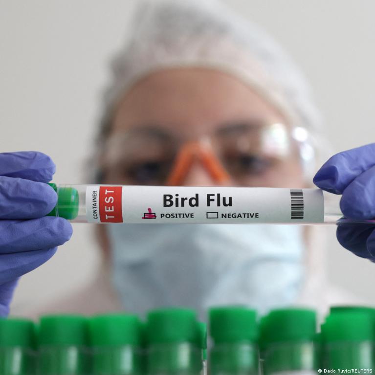 First case of H5 bird flu confirmed in Australia