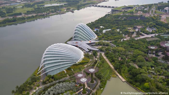 Вид на два здания в форме ракушек на берегу реки. Сингапурские сады у залива, Марина Гарденс