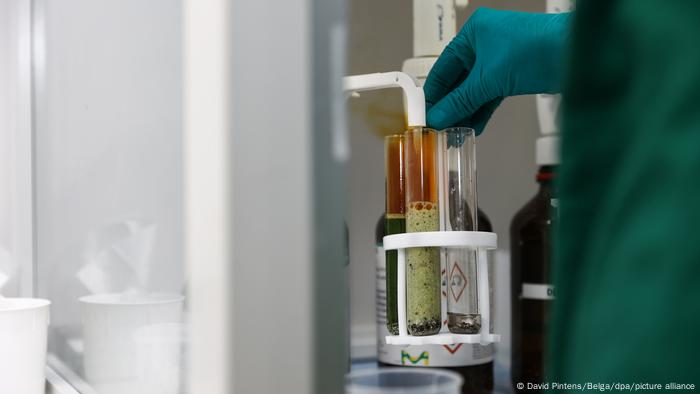 Nos EUA, um estudo de Harvard apontou que 98% da população tem PFAS no sangue; na Alemanha, uma em cada cinco crianças exibe níveis críticos de contaminação Nos EUA, um estudo de Harvard apontou que 98% da população tem PFAS no sangue; na Alemanha, uma em cada cinco crianças exibe níveis críticos de contaminação