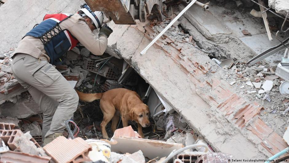 Can dogs really sense danger?  DW  12/25/2025