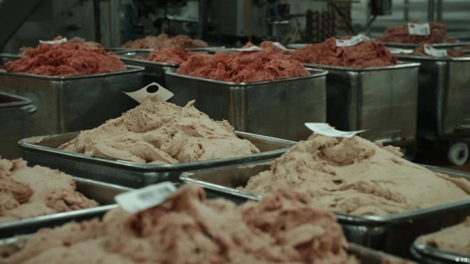 The great meat debate Part 4 Meat from the lab DW 03/12/2023