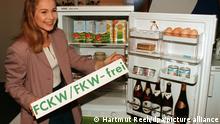 1993: Grüner Kühlschrank aus dem Osten
