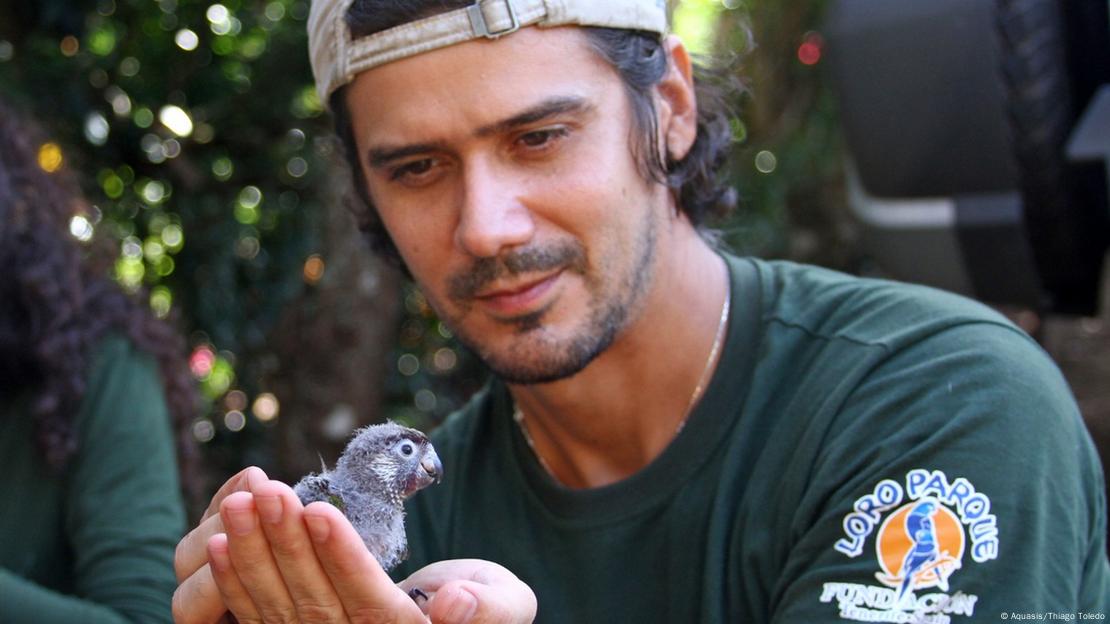 Biólogo Fábio Nunes com periquito cara-suja na mão na Serra do Baturité no Ceará