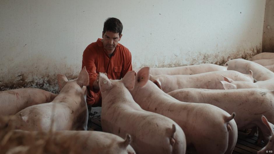 The great meat debate - Part 5: The end of the age of meat – DW – 03/19 ...