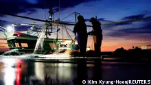 البحر ليس سلة مهملات ـ قلق الصيادين في فوكوشيما على مصدر رزقهم