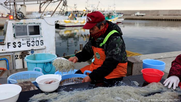 Haruo Ono, a 71-year-old fisherman, washes his catch in the harbor of Shinchimachi, Japan.
