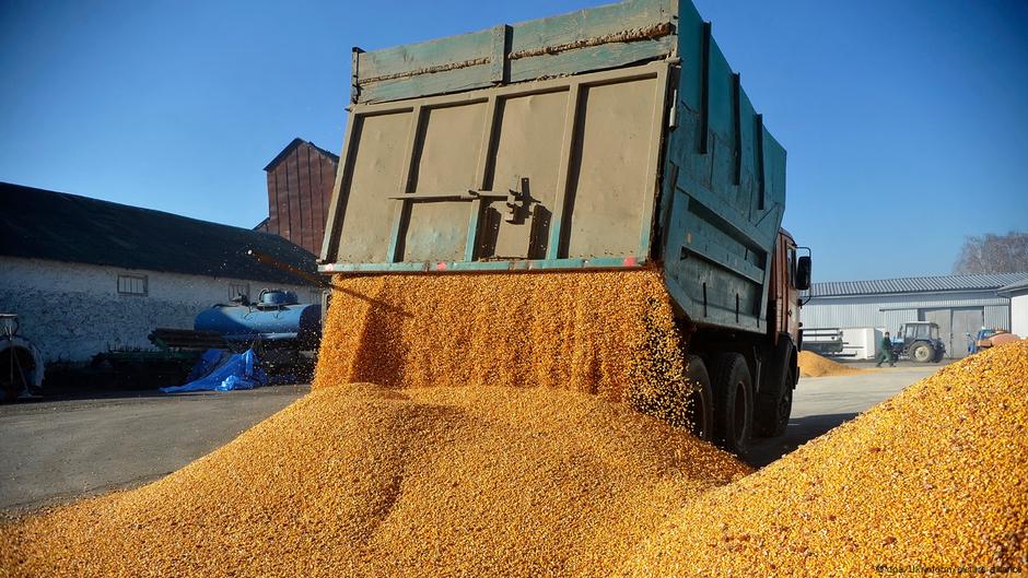 Ukrajina izvozi u Kinu kukuruz, biljno ulje...