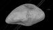 An illustration of asteroid 2023 DW An illustration of asteroid 2023 DW