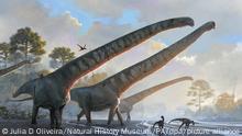 Hallan en China fósiles de dinosaurio que tenía cuello de 15 metros, el más largo jamás descubierto