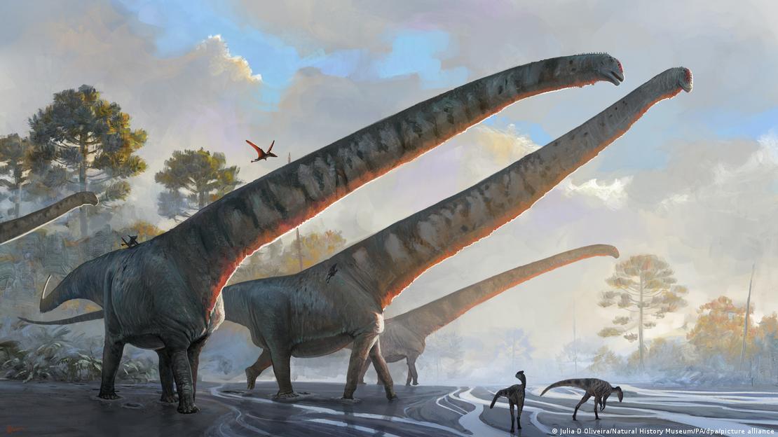 vários dinossauros com pescoço longo: os M. sinocanadorum